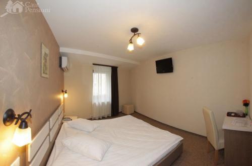Pension Cleopatra Târgu-Mureş Exteriör bild