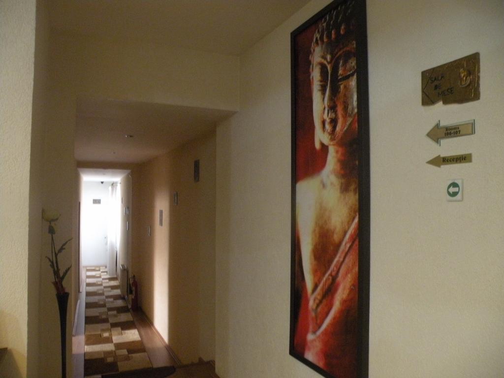 Pension Cleopatra Târgu-Mureş Exteriör bild