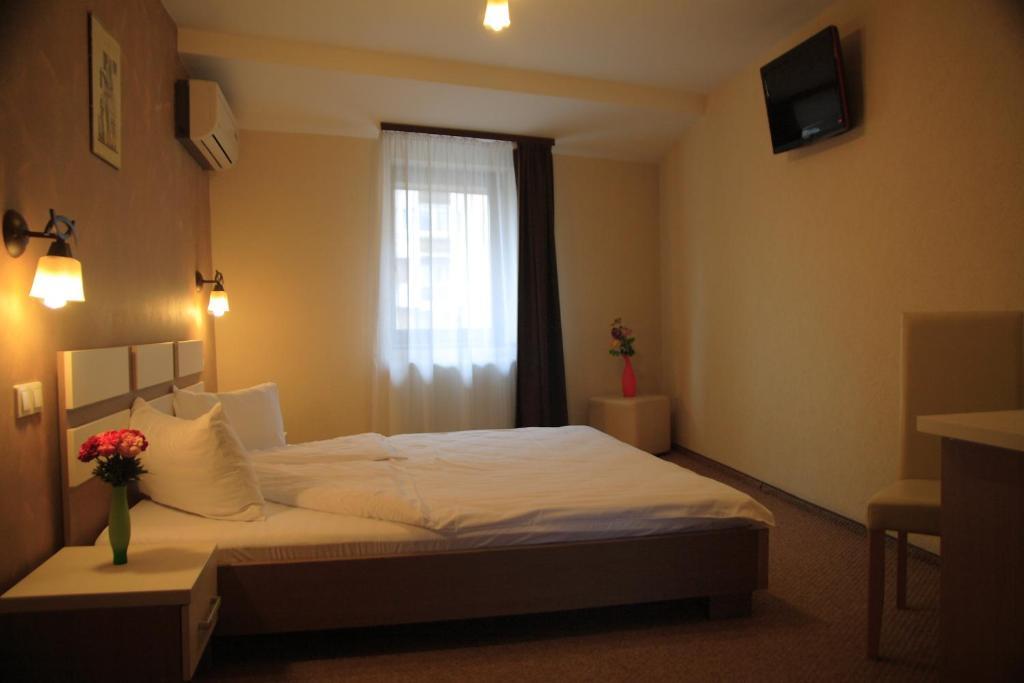 Pension Cleopatra Târgu-Mureş Exteriör bild